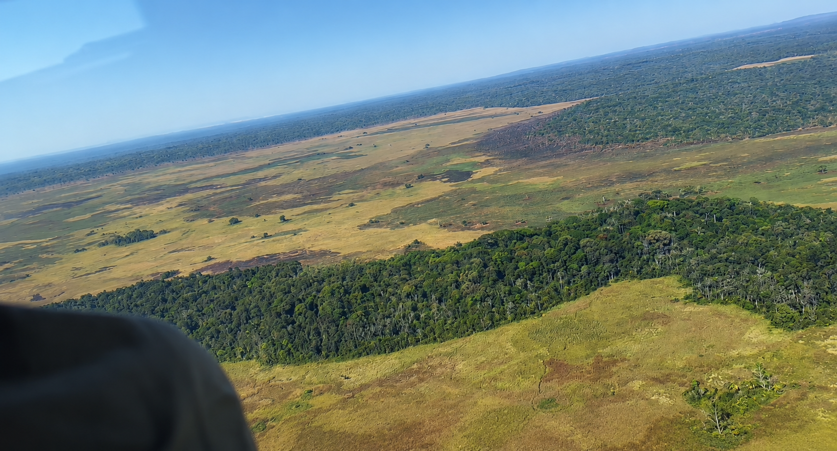 Aerial view of forest meeting open dambo grassland